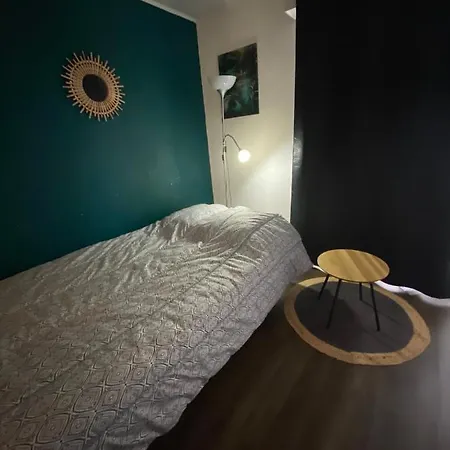 公寓 Le Pharo Avec Piscine 阿格德