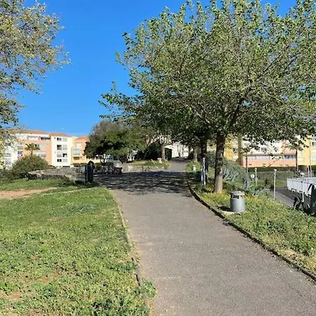 Daire Le Pharo Avec Piscine Agde