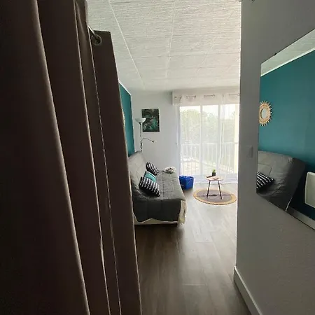 Daire Le Pharo Avec Piscine Agde