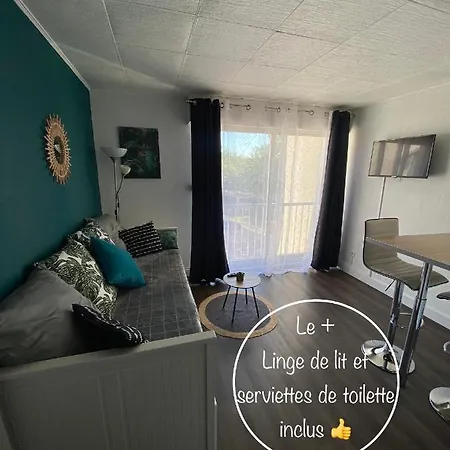 Le Pharo Avec Piscine Apartment *